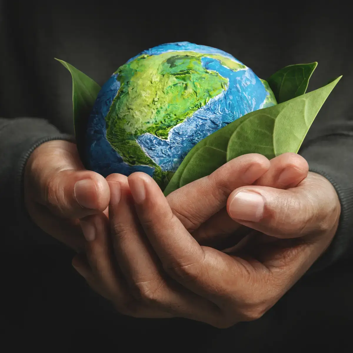 ISO 20400 Mãos a proteger globo terrestre com folhas verdes