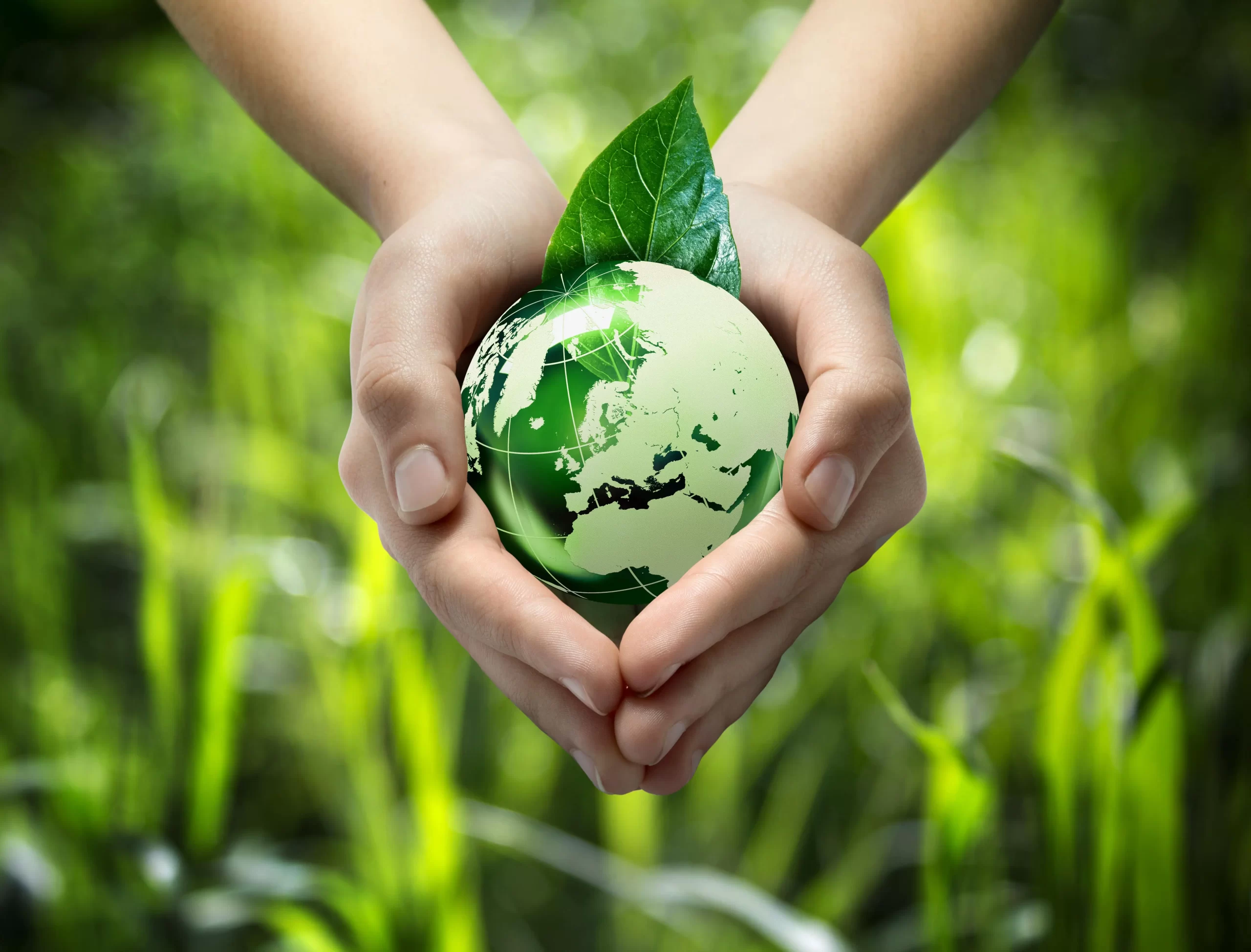 shutterstock_134992037-min Mãos a proteger um globo terrestre verde