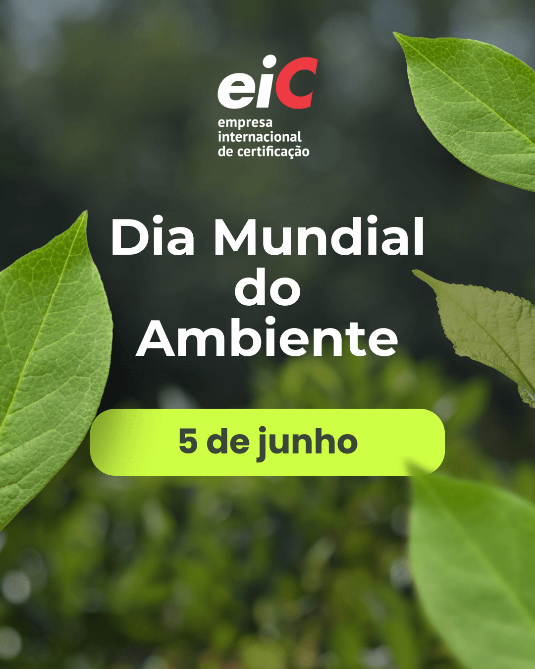 Natureza, folhas verdes