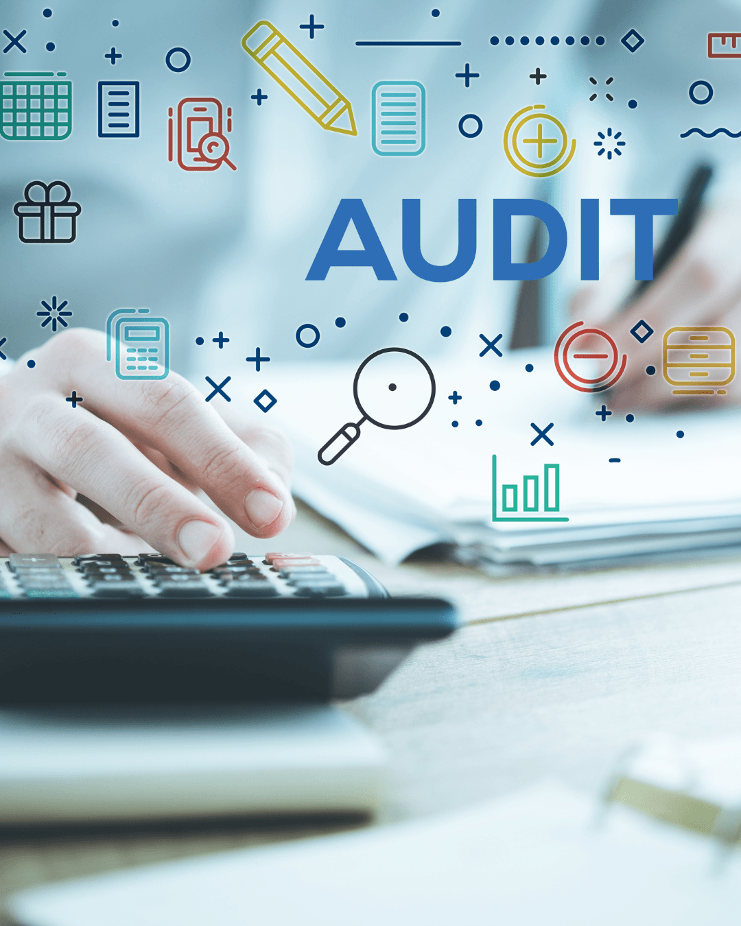 Auditoria auditing