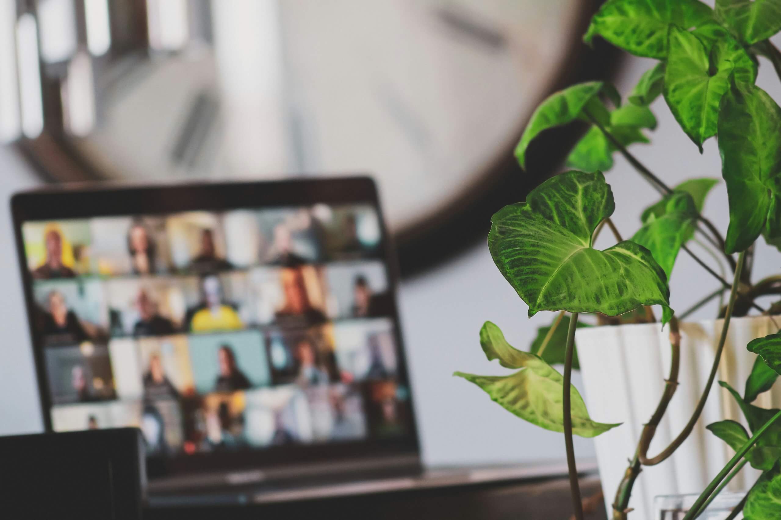 webinar meeting online, computer
